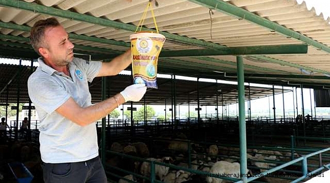Kurban Bayramı Öncesi Büyükşehir’den ‘Sağlık’ Tedbiri