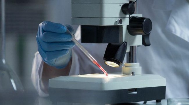 İngiltere'de ölümcül virüs alarmı verildi