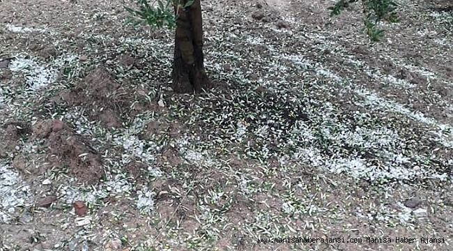 Saruhanlıyı Don Vurdu