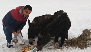 -15 Derecede İçleri Isıtan Çalışma