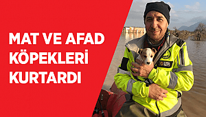 MAT VE AFAD KÖPEKLERİ KURTARDI