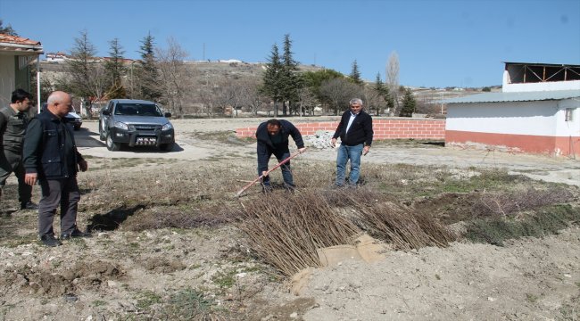 Demirci&#039;de 32 bin hünnap fidanı toprakla buluşacak