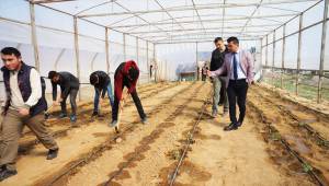 Lise öğrencilerinin okulda yetiştirdiği istiridye mantarlarına ilgi