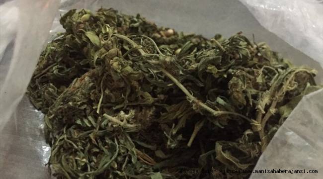 Manisa&#039;da uyuşturucu operasyonu