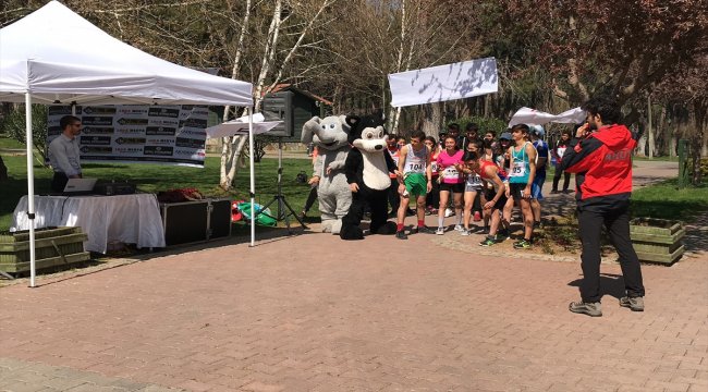 Sokak hayvanları için "Mamaraton"