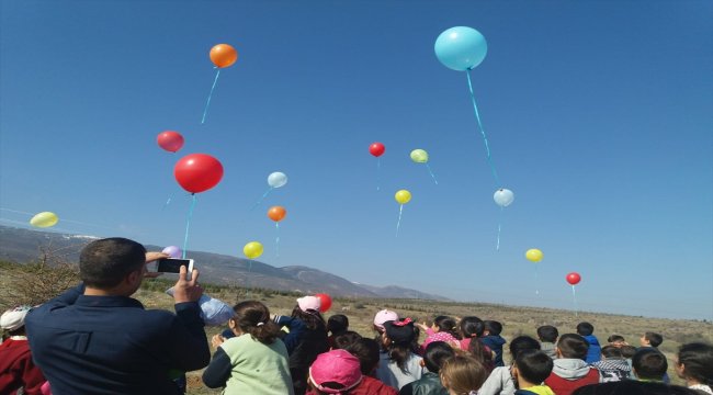 Tohumların gökyüzünde yolculuğu
