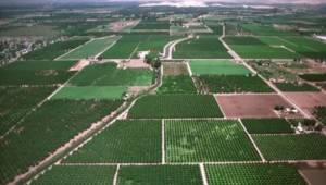 Uğur Kıraloğlu Şehzadeler’in Tarım Arazilerini Toplulaştıracak