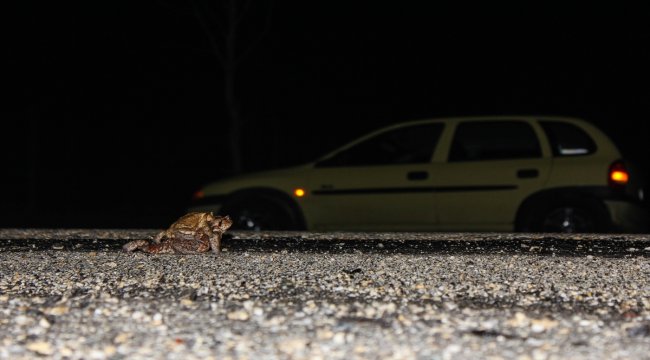 Türkiye Finans&#039;tan toplu konut finansmanı