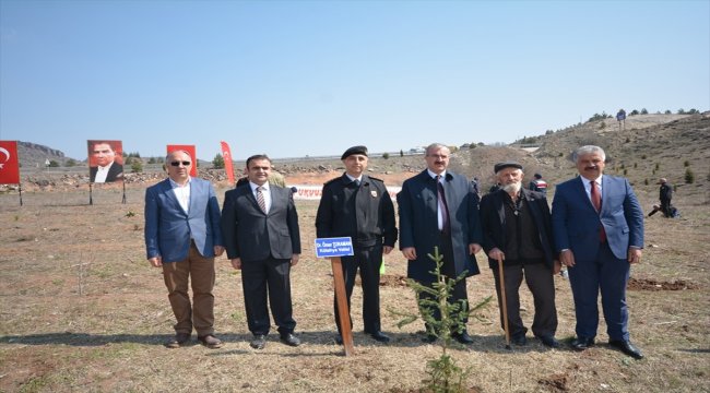 Kütahya'da jandarma 300 fidanı toprakla buluşturdu