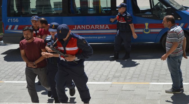 Aydın'da hayvan hırsızlığı