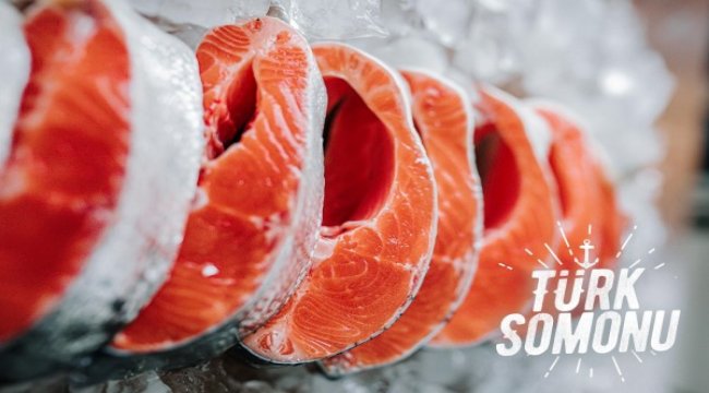 Bağışıklık sistemini güçlendirmenin yolu balıktan geçiyor