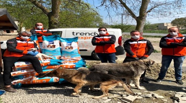 Trendyol HAYTAP iş birliğinde 3 ton mama dağıttı