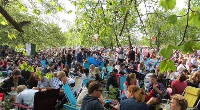 Virus əleyhinə toyuq gübrəsi