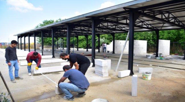 Can dostlara modern yuva