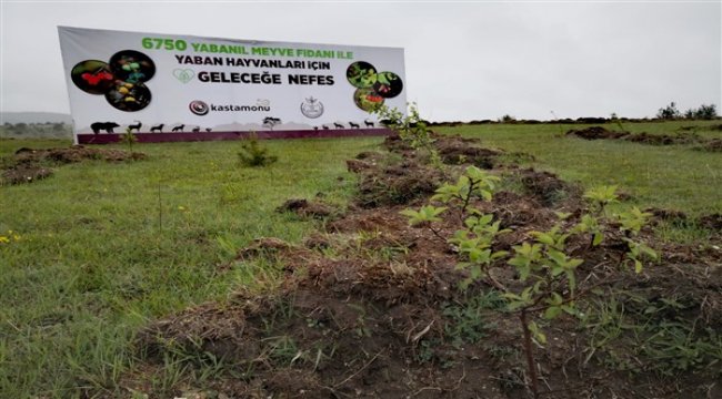 Daha sağlıklı bir gelecek için umut ekiyoruz