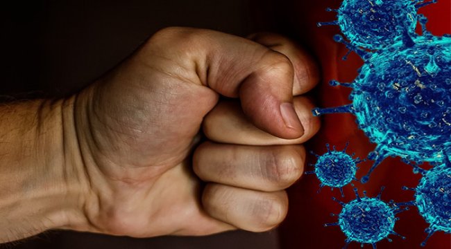 Özbəkistanda COVID-19 koronavirusundan 3014 nəfər sağalıb