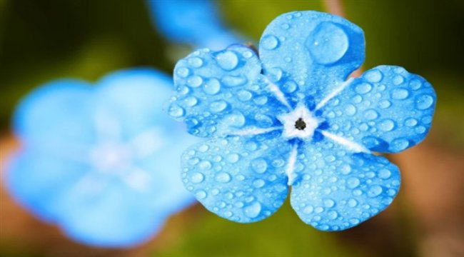 Sağanak geliyor, sıcaklık düşüyor