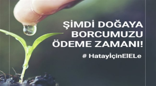 Weltew Home’dan Hatay’a 1996 adet fidan bağışı