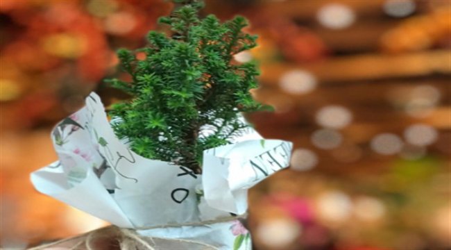 Kara cuma'ya karşı yeşil cuma