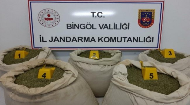 Bingöl’de 135 kilogram toz esrar ele geçirildi