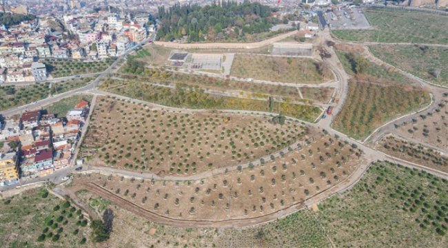 Kadifekale’yi bir de baharda görün