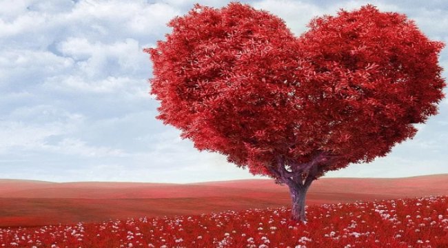 Sıfır Atık Eğitim projesi’ne ÇEVKO’dan Yeşil Nokta Sanayi Ödülü