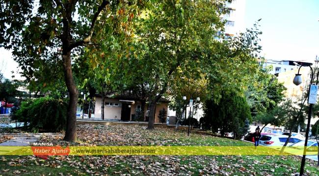 Yapraklardan muhteşem manzaralar