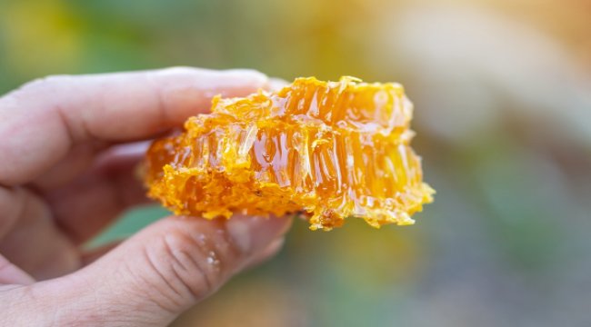 "Balda petek olmazsa olmaz"