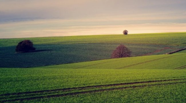Bu araziler havada kapılıyor