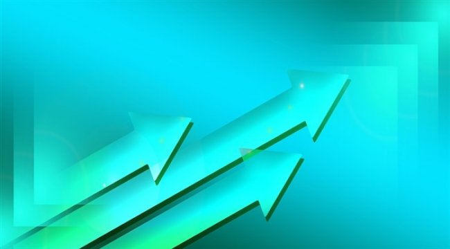 Duran Doğan Basım'ın faaliyet raporu