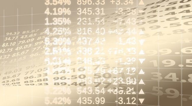 Sümer Varlık'tan kar payı ödemesi