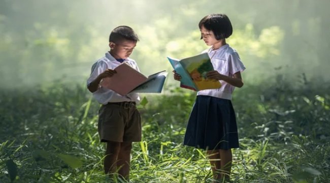 Tudem Edebiyat Ödülleri Roman Yarışması sonuçlandı