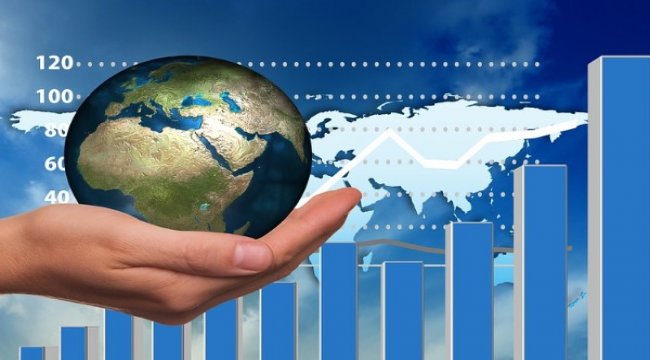 Türkiye Sigorta'dan kar payı dağıtımı