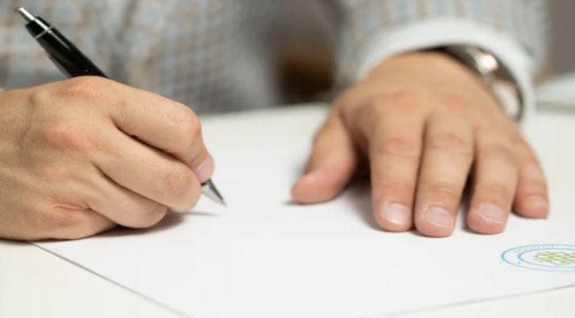 IBM'den Papilon'a üst düzey atama