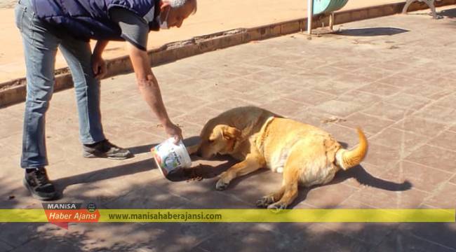 Can Dostlarımız Tam Kapanmada da Unutulmadı