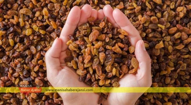 Çekirdeksiz kuru üzümde 8 ayda 332 milyon dolarlık ihracat