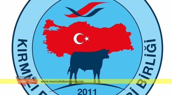 Manisa’da 1033 kırmızı et üreticisine destek ödemesi