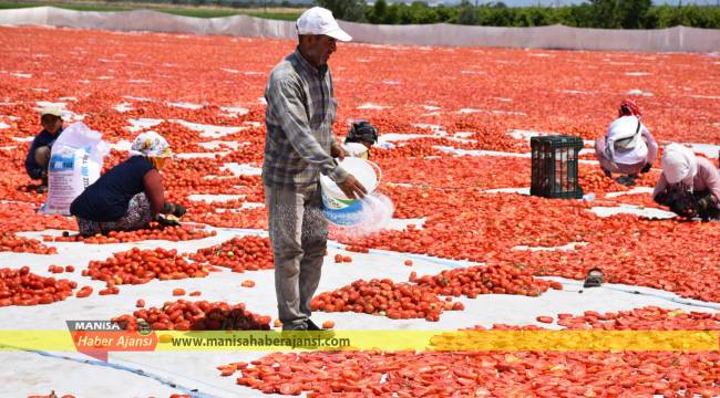 Manisa Ovası kırmızıya büründü