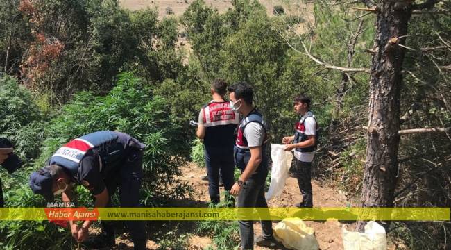 Yasadışı Uyuşturucu İmal ve Ticareti