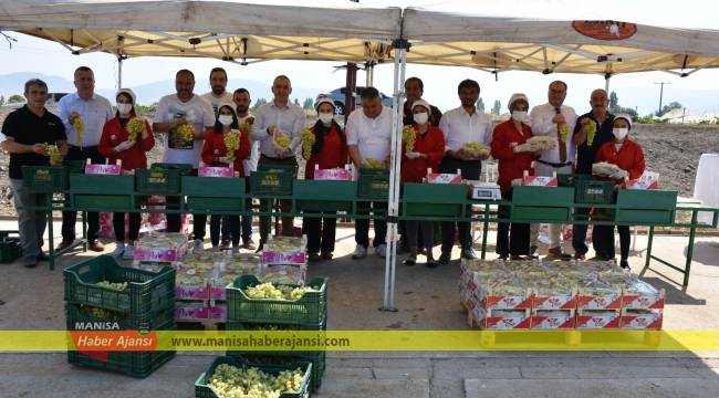 İl Müdürü Öztürk üzüm hasadına eşlik etti