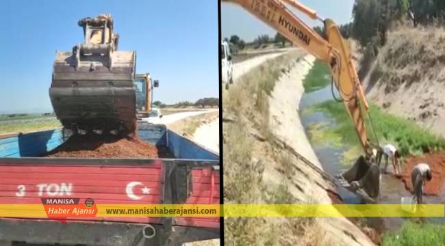 Manisa'lı çiftçinin talihsizliği!