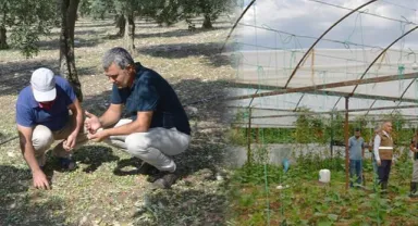 Doludan Zarar Gören Arazilerde Hasar Tespit Çalışmaları Yapılıyor