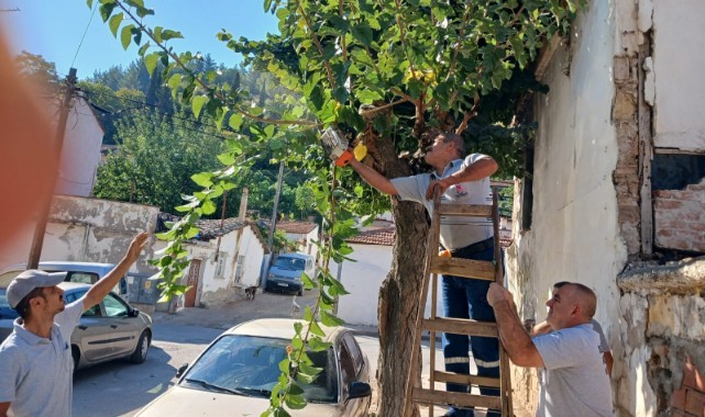 DAHA YEŞİL BİR ŞEHZADELER İÇİN EKİPLERDEN YOĞUN MESAİ