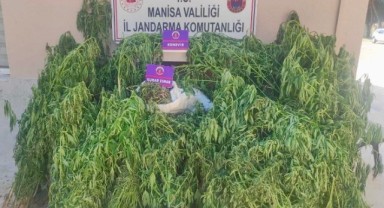 Alaşehir'de 14,6 Kilogram Uyuşturucu Madde Ele Geçirildi