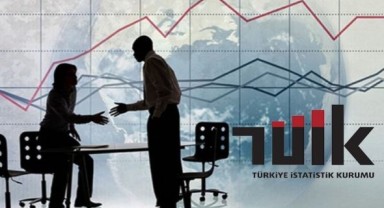 2023 Yılı Mali Aracı Kuruluş İstatistikleri TÜİK Tarafından Yayınlandı.