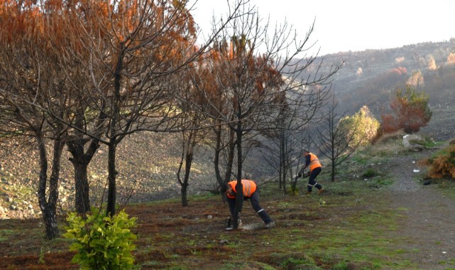 Başkan Yıldız: “Yeniden Yeşertmek İçin Çalışıyoruz”