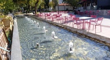 Hakkı İplikçi Parkı ve Kumludere Caddesi’nde 11 Havuz Yenilendi