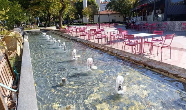 Hakkı İplikçi Parkı ve Kumludere Caddesi’nde 11 Havuz Yenilendi