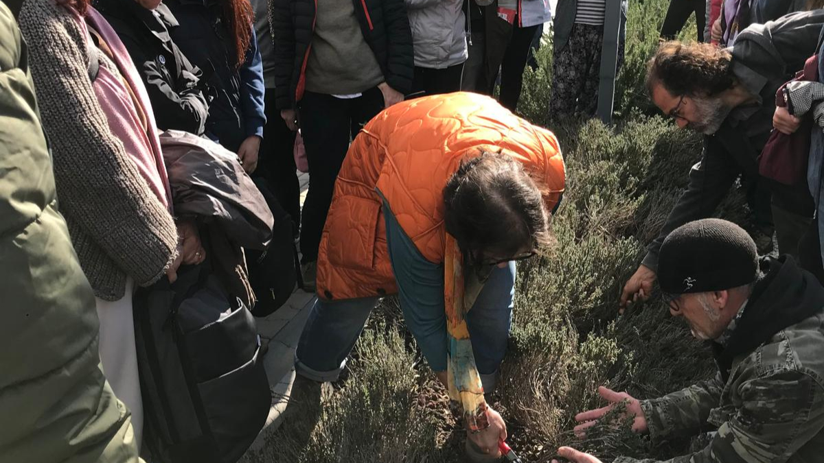 Toprak Okulu’nda budama eğitimine yoğun ilgi