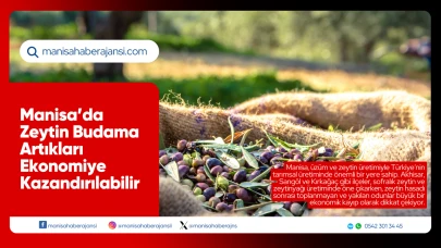 Manisa’da Zeytin Budama Artıkları Ekonomiye Kazandırılabilir